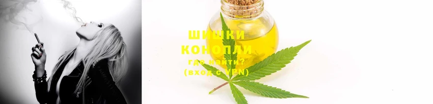 шишки Михайловка